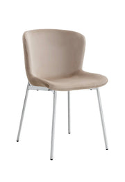 CHAISE HAILEY