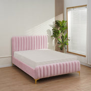 LIT FAYE VELOURS - BEIGE/ROSE
