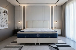 Lit Coffre CELIA BLANC CASSÉ - Velours